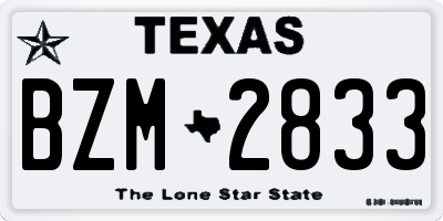 TX license plate BZM2833