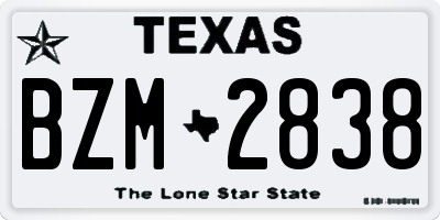 TX license plate BZM2838
