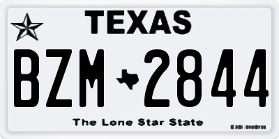 TX license plate BZM2844