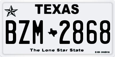 TX license plate BZM2868