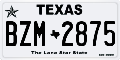TX license plate BZM2875