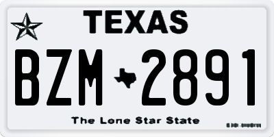TX license plate BZM2891