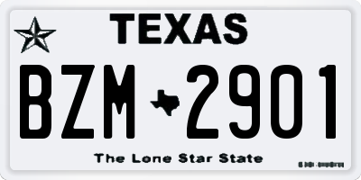 TX license plate BZM2901