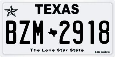 TX license plate BZM2918