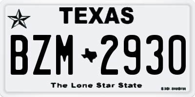 TX license plate BZM2930