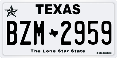 TX license plate BZM2959
