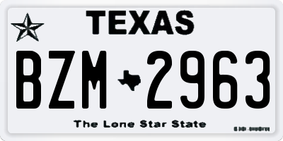 TX license plate BZM2963