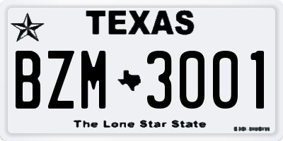 TX license plate BZM3001