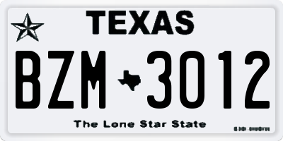 TX license plate BZM3012