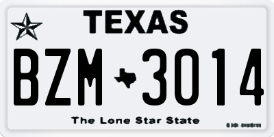 TX license plate BZM3014
