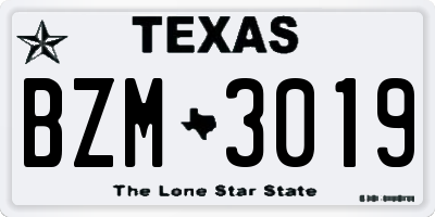 TX license plate BZM3019