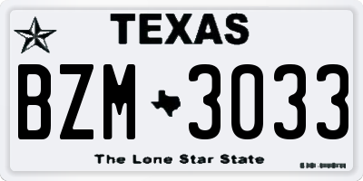 TX license plate BZM3033