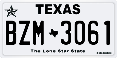 TX license plate BZM3061