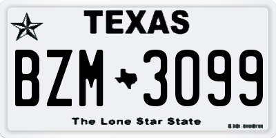 TX license plate BZM3099