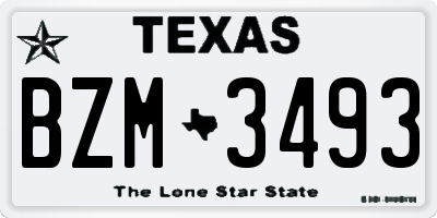 TX license plate BZM3493