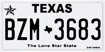 TX license plate BZM3683