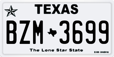 TX license plate BZM3699