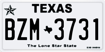 TX license plate BZM3731