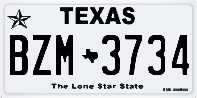 TX license plate BZM3734