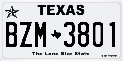 TX license plate BZM3801