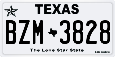 TX license plate BZM3828