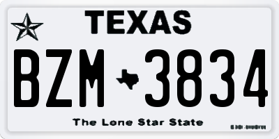 TX license plate BZM3834