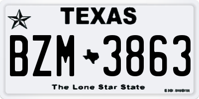 TX license plate BZM3863