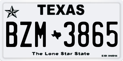 TX license plate BZM3865