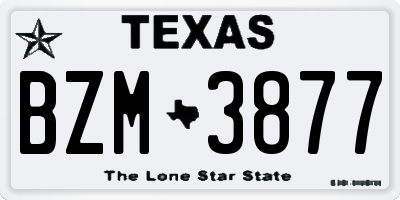 TX license plate BZM3877