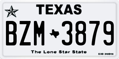TX license plate BZM3879