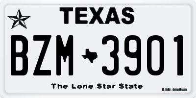 TX license plate BZM3901