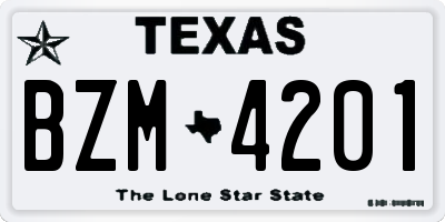 TX license plate BZM4201