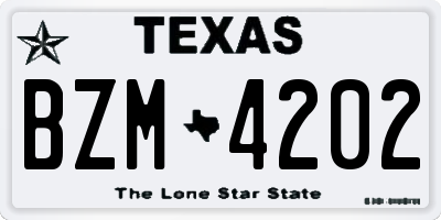 TX license plate BZM4202