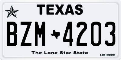 TX license plate BZM4203