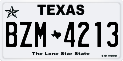 TX license plate BZM4213