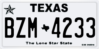 TX license plate BZM4233