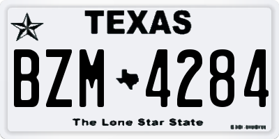 TX license plate BZM4284