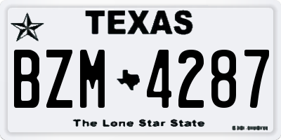 TX license plate BZM4287