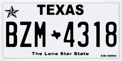 TX license plate BZM4318
