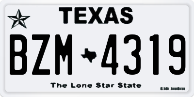 TX license plate BZM4319