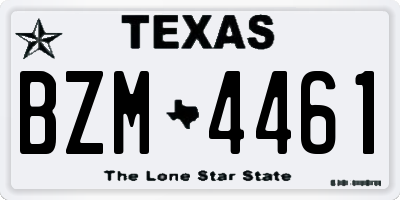 TX license plate BZM4461