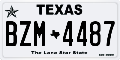TX license plate BZM4487