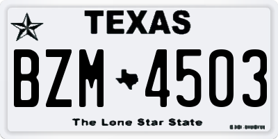 TX license plate BZM4503