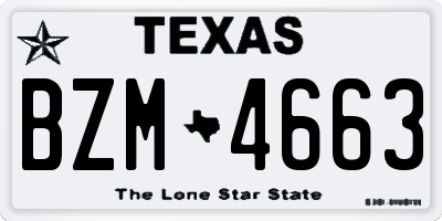 TX license plate BZM4663