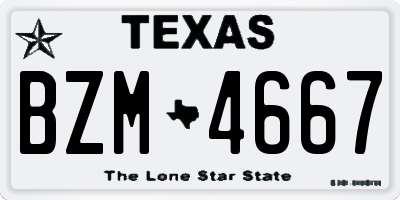 TX license plate BZM4667