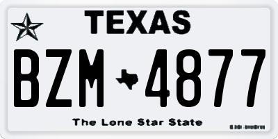 TX license plate BZM4877