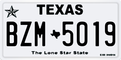 TX license plate BZM5019