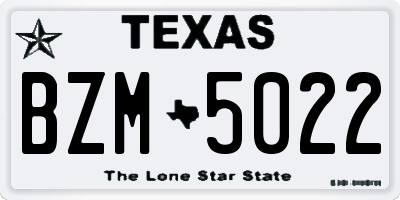 TX license plate BZM5022