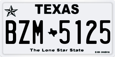 TX license plate BZM5125