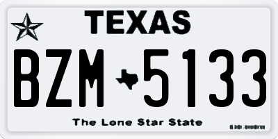TX license plate BZM5133